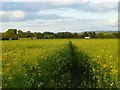 Farmland, Longwick