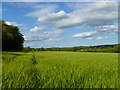 Farmland, Princes Risborough