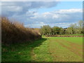 Footpath near Marnhull