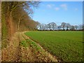 Farmland, South Heath, Great Missenden