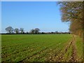 Farmland, Hyde Heath, Little Missenden