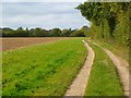 Track and farmland, Chartridge