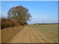 Farmland, Chesham