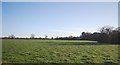 Farmland near Bridge Farm