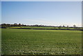 Farmland near Railway Farm