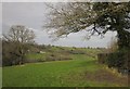 Field near Abbey