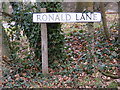 TM3864 : Ronald Lane sign by Geographer