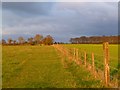 Farmland, Ashley Green