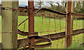 Three fences, Crawfordsburn Country Park