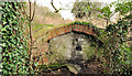 Old hut, Crawfordsburn Country Park