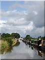 Shropshire Union Canal near Nantwich, Cheshire