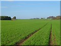 SU0976 : Farmland, Broad Hinton by Andrew Smith
