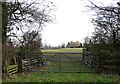 Double gated field entrance