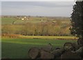 Countryside near Honeychurch