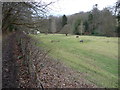 Riverside paddock beside the Afon Ystrad near Lawnt