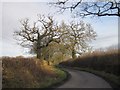 Lane to Southdown