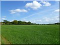 SU3450 : Farmland, Tangley by Andrew Smith
