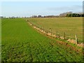 Farmland, Hatford