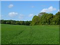 Farmland, Tangley