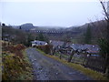 View to Vyrnwy dam wall from near the Visitor Centre