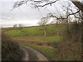 Lane and valley near Woodland House