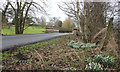 Dinglebrook Bridge, Catchpenny Lane, Lower Withington