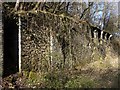 NZ1762 : Retaining wall and remains of Coal Drops, Blaydon Burn by Andrew Curtis