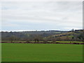 Fields and tower