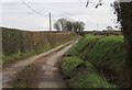 Tarka Trail near Deckport Farm