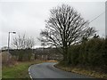 SE1810 : Winter tree on Shepley Road by Christine Johnstone
