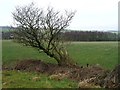 View north from the bench on Haw Cliff Lane