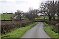 Road past Loosedon Cottages