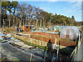 Sandown Road Allotments