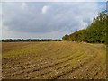 Farmland, Chalgrove