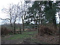 Stile and Gate, Black Hill