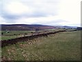 Upland Grazing near Matley Moor