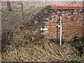 SU1187 : Detail, Mouldon Lock, Wilts & Berks Canal (North Wilts Branch) by Vieve Forward