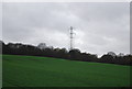 Pylon by Bensonhill Wood