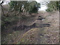 Bed of disused Wilts & Berks Canal (North Wilts Branch), Moredon