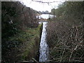 Large pond, disused North Wilts branch of the Wilts & Berks Canal