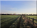 A path leading to Barnby Dun