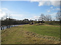 NY7613 : River  Eden  north  bank  looking  West by Martin Dawes