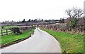 SJ4704 : Country lane to Stapleton, near Dorrington by P L Chadwick