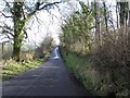 Road at Carn