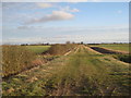 Track towards Ivy Cottage