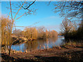 Lake in the Afternoon