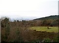 Clearing in an area of forest and heathland