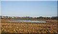 Doxey Marshes