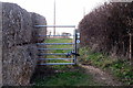 Hay bales on the bridleway