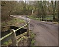 Bridge over Hollocombe Water